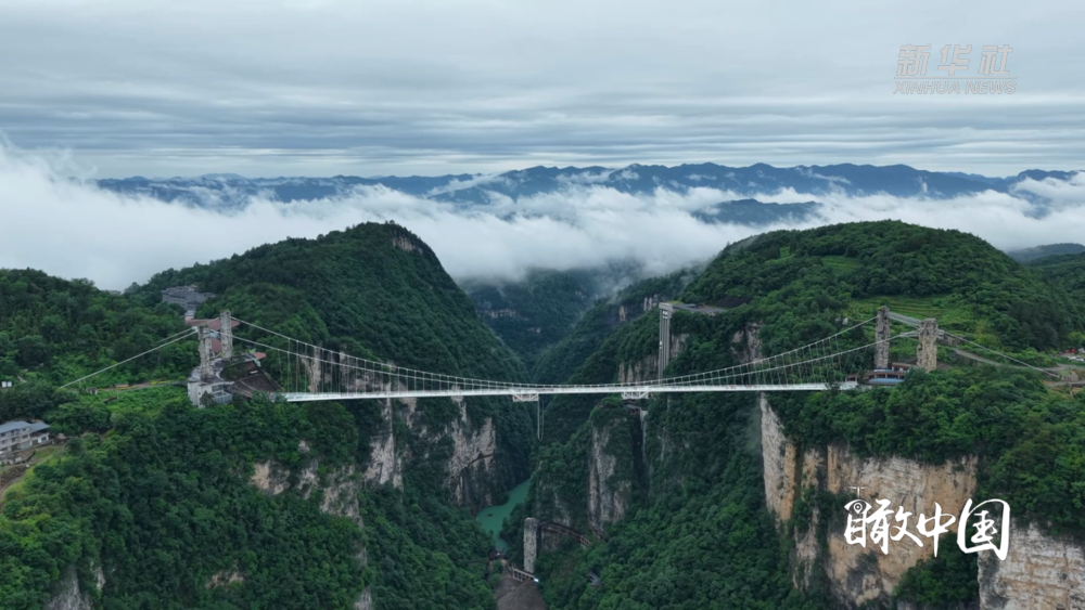 张家界:云海萦绕大峡谷