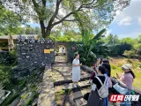 发现·湘潭丨归隐松涧：藏在绿心深处的身心栖所