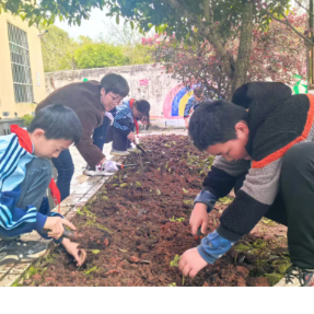 衡阳民进家校社协同育人活动走进石鼓区三星小学