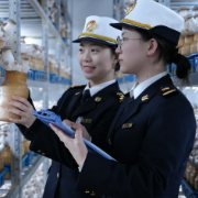 2026年前5个月湖南省进出口增长13.8% 高技术产品出口大幅增长