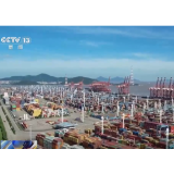 好评中国丨“中国服务”扬帆出海，绘就高水平开放新图景
