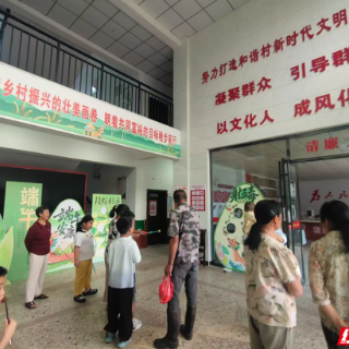 桂阳县正和镇:党建引领强阵地服务群众暖民心