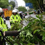 气象专家:今夏天气反常,不能只让厄尔尼诺“背锅”
