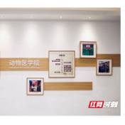 育见·隐形冠军 ①|大众眼里“治猫狗”的专业,实则为守护生物安全、舌尖安全的硬核王牌