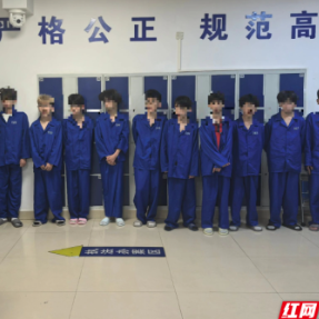 衡阳县公安打掉一盗窃团伙,抓获12人!