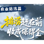 排涝赶在前 收成保得全 | 老洪说汛·农业防汛篇