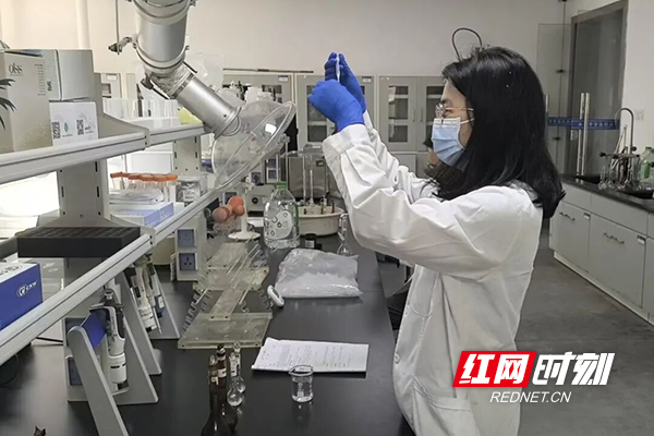 株洲市市场监督管理局开展端午节令食品专项抽检工作