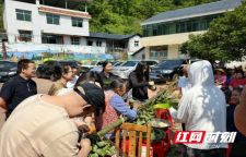 吉首联兴村“我们的节日·端午”活动热闹又暖心