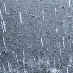 湖南省气象局启动气象灾害(暴雨)四级应急响应
