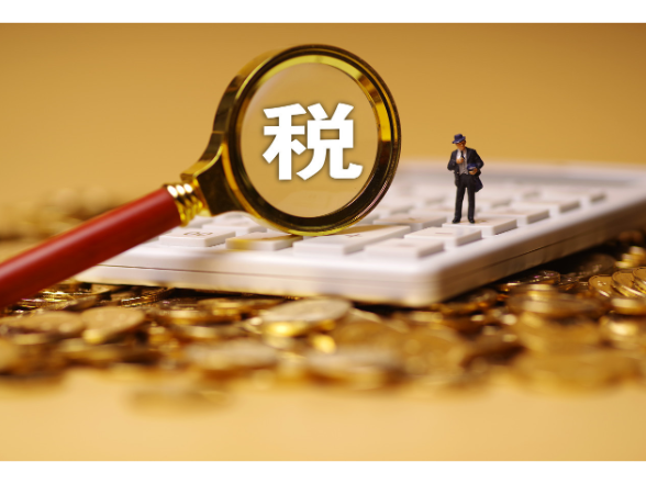 国家税务总局岳阳市税务局第三稽查局依法查处湖南博瑞达贸易有限责任公司虚开增值税专用发票及偷税案件}