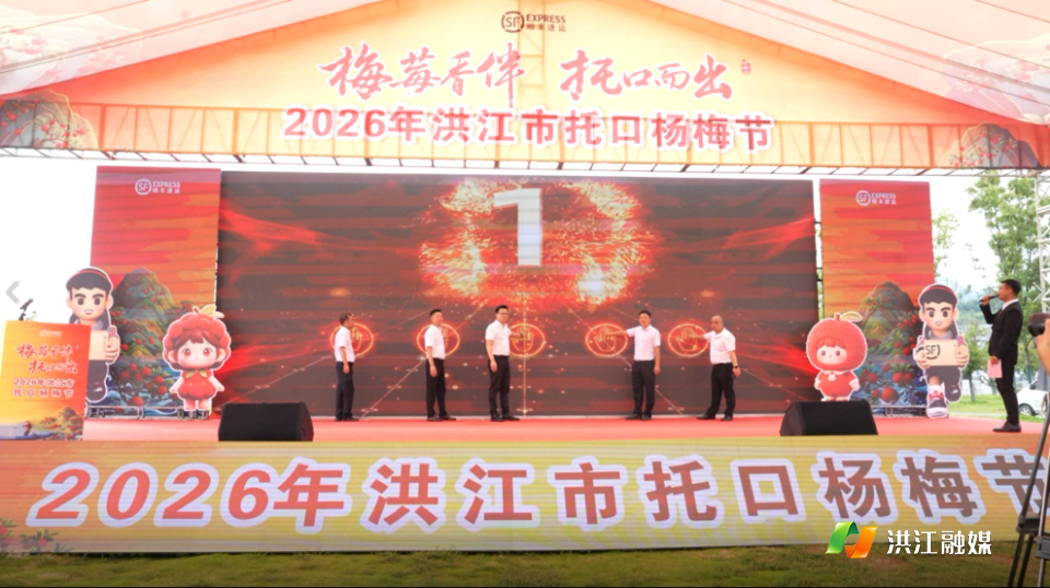 赴场“梅”好之约，洪江市托口杨梅节上演热闹与温情