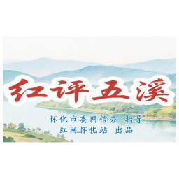 红评五溪丨托口杨梅“出圈”记：一颗小红果的乡村叙事