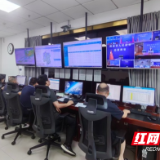 湖南省自然资源厅:端午值守不松懈 严阵以待迎战第二轮强降雨