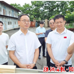 何恩广调研文旅遗留问题项目