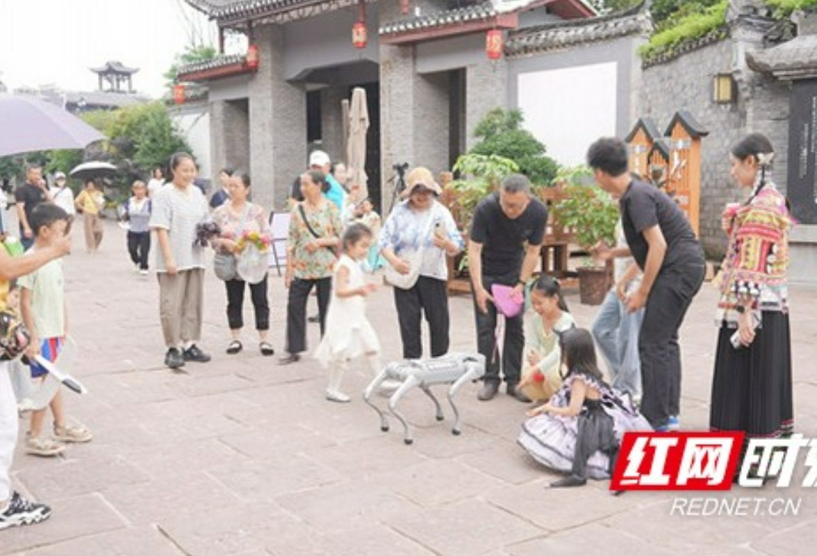 凤凰古城：机器人科技嘉年华趣味过端午
