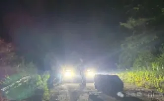化险为夷！石门南北镇快速处置山体落石险情
