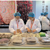 从“人防”到“技防”——数智赋能粮食产业全链条