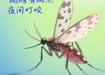 别让夏日“隐形杀手”毁了孩子的假期