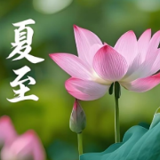 专家提醒：夏至时节养生核心在养心护阳