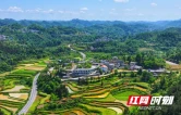 凤凰县满家村：灶台烟火忆农耕 石磨流转悟实践 研学赋能劳动教育