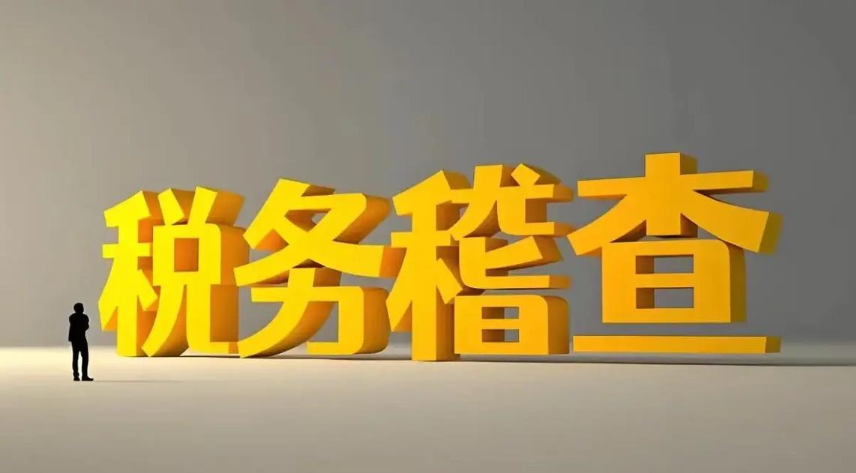 “私码”收款的“花招”难遁形——揭秘蓝山县呈际加油站隐匿收入偷税案件真相}