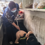 株洲市二医院与基层网格携手救治高危双胎产妇