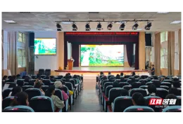 怀化开展学前教育集成化教研活动 探索幼小绘本阅读一体化新路径
