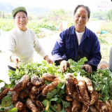 湖南8个特色农产品入选2026年首批全国名特优新农产品名录