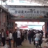 不认识毒蘑菇？这里有本野生菌“数字百科全书”