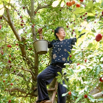 新邵县寸石镇:十字村的“梅”好时光