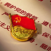 中国共产党党员总数达10128.6万名