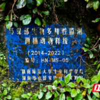 郴州市以环境绩效提级与重点行业超低排放改造推动空气质量持续领跑