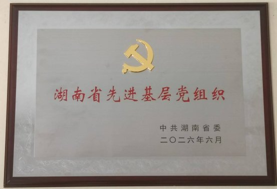 党建引领铸检魂 洪江市检察院机关党支部获评全省先进基层党组织