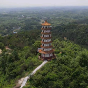 攸县宁家坪镇坪台村:一片田园迎客来 游出共富“新图景”