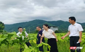 安仁县：走访慰问传党情 田间问计兴产业