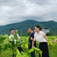 安仁县：走访慰问传党情 田间问计兴产业