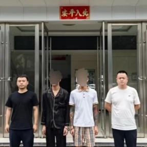 拉车门“碰运气”?耒阳两男子盗窃被抓