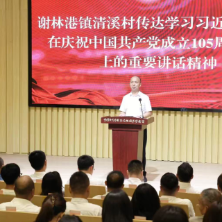 益阳清溪:汲取奋进力量 勇担振兴使命