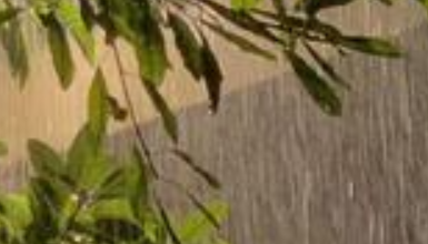 湖南启动城市排水防涝四级应急响应，邵阳、永州、怀化、娄底四市启动三级应急响应