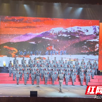 非遗唱响嘉禾 歌声凝聚奋进力量