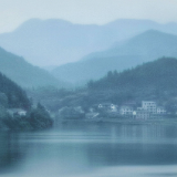 生态文学丨龙章辉:彼岸