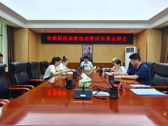 市委第四巡察组向团市委反馈巡察情况