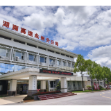 散文丨梁瑞郴:速度与激情