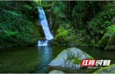 神秘湘西爽一夏丨今夏，到小溪原始林区酣醉吧