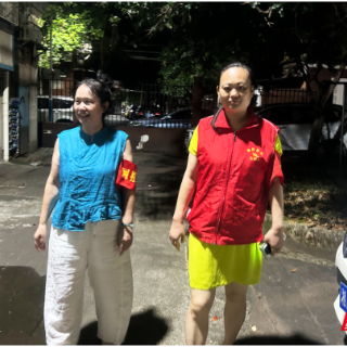 安全瞭望台㉗｜珠晖区冶金街道：百余网格织就平安色 汇成群防群治“活水来”