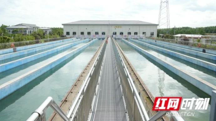 湘水面面观 | 水润湖湘 变革正酣——这场现场会背后的湖南治水实践