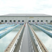 湘水面面观 | 水润湖湘 变革正酣——这场现场会背后的湖南治水实践