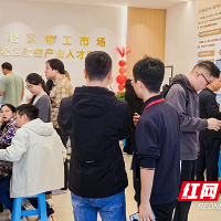 芦淞区入选湖南省高质量充分就业县市区培育项目
