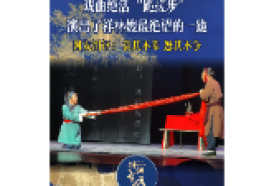 湖湘有戏·看戏（双语）〡戏曲绝活“跪搓步”演出了祥林嫂最绝望的一跪