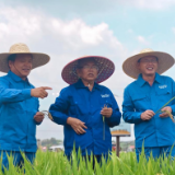 攀高③丨破解杂交稻制种安全“卡脖子”难题,育成8个千万亩级大品种